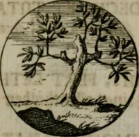 An illustration from Devises et emblemes anciennes & modernes, tirées des plus celebres auteurs, oder, Emblematische Gemüths-Vergnügung : bey Betrachtung siben hundert und funffzehen der curieusesten und ergötzlichen Sinn-Bildern, mit ihren zuständigen teutsch-lateinisch-französisch- und italianischen Beyschrifften (1695)