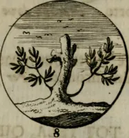 An illustration from Devises et emblemes anciennes & modernes, tirées des plus celebres auteurs, oder, Emblematische Gemüths-Vergnügung : bey Betrachtung siben hundert und funffzehen der curieusesten und ergötzlichen Sinn-Bildern, mit ihren zuständigen teutsch-lateinisch-französisch- und italianischen Beyschrifften (1695)