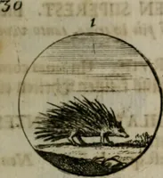 An illustration from Devises et emblemes anciennes & modernes, tirées des plus celebres auteurs, oder, Emblematische Gemüths-Vergnügung : bey Betrachtung siben hundert und funffzehen der curieusesten und ergötzlichen Sinn-Bildern, mit ihren zuständigen teutsch-lateinisch-französisch- und italianischen Beyschrifften (1695)