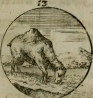 An illustration from Devises et emblemes anciennes & modernes, tirées des plus celebres auteurs, oder, Emblematische Gemüths-Vergnügung : bey Betrachtung siben hundert und funffzehen der curieusesten und ergötzlichen Sinn-Bildern, mit ihren zuständigen teutsch-lateinisch-französisch- und italianischen Beyschrifften (1695)