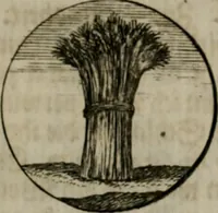 An illustration from Devises et emblemes anciennes & modernes, tirées des plus celebres auteurs, oder, Emblematische Gemüths-Vergnügung : bey Betrachtung siben hundert und funffzehen der curieusesten und ergötzlichen Sinn-Bildern, mit ihren zuständigen teutsch-lateinisch-französisch- und italianischen Beyschrifften (1695)