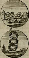 An illustration from Devises et emblemes anciennes & modernes, tirées des plus celebres auteurs, oder, Emblematische Gemüths-Vergnügung : bey Betrachtung siben hundert und funffzehen der curieusesten und ergötzlichen Sinn-Bildern, mit ihren zuständigen teutsch-lateinisch-französisch- und italianischen Beyschrifften (1695)
