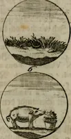 An illustration from Devises et emblemes anciennes & modernes, tirées des plus celebres auteurs, oder, Emblematische Gemüths-Vergnügung : bey Betrachtung siben hundert und funffzehen der curieusesten und ergötzlichen Sinn-Bildern, mit ihren zuständigen teutsch-lateinisch-französisch- und italianischen Beyschrifften (1695)