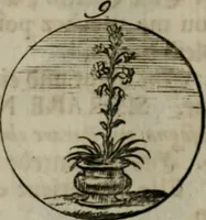 An illustration from Devises et emblemes anciennes & modernes, tirées des plus celebres auteurs, oder, Emblematische Gemüths-Vergnügung : bey Betrachtung siben hundert und funffzehen der curieusesten und ergötzlichen Sinn-Bildern, mit ihren zuständigen teutsch-lateinisch-französisch- und italianischen Beyschrifften (1695)