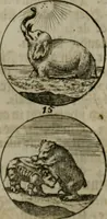 An illustration from Devises et emblemes anciennes & modernes, tirées des plus celebres auteurs, oder, Emblematische Gemüths-Vergnügung : bey Betrachtung siben hundert und funffzehen der curieusesten und ergötzlichen Sinn-Bildern, mit ihren zuständigen teutsch-lateinisch-französisch- und italianischen Beyschrifften (1695)