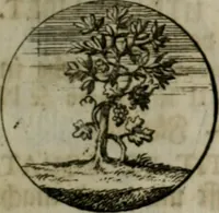 An illustration from Devises et emblemes anciennes & modernes, tirées des plus celebres auteurs, oder, Emblematische Gemüths-Vergnügung : bey Betrachtung siben hundert und funffzehen der curieusesten und ergötzlichen Sinn-Bildern, mit ihren zuständigen teutsch-lateinisch-französisch- und italianischen Beyschrifften (1695)