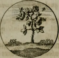 An illustration from Devises et emblemes anciennes & modernes, tirées des plus celebres auteurs, oder, Emblematische Gemüths-Vergnügung : bey Betrachtung siben hundert und funffzehen der curieusesten und ergötzlichen Sinn-Bildern, mit ihren zuständigen teutsch-lateinisch-französisch- und italianischen Beyschrifften (1695)