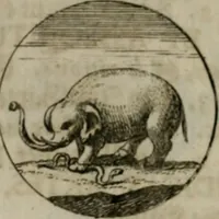 An illustration from Devises et emblemes anciennes & modernes, tirées des plus celebres auteurs, oder, Emblematische Gemüths-Vergnügung : bey Betrachtung siben hundert und funffzehen der curieusesten und ergötzlichen Sinn-Bildern, mit ihren zuständigen teutsch-lateinisch-französisch- und italianischen Beyschrifften (1695)