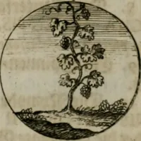 An illustration from Devises et emblemes anciennes & modernes, tirées des plus celebres auteurs, oder, Emblematische Gemüths-Vergnügung : bey Betrachtung siben hundert und funffzehen der curieusesten und ergötzlichen Sinn-Bildern, mit ihren zuständigen teutsch-lateinisch-französisch- und italianischen Beyschrifften (1695)