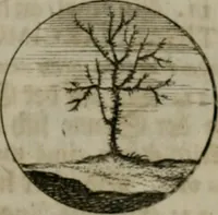 An illustration from Devises et emblemes anciennes & modernes, tirées des plus celebres auteurs, oder, Emblematische Gemüths-Vergnügung : bey Betrachtung siben hundert und funffzehen der curieusesten und ergötzlichen Sinn-Bildern, mit ihren zuständigen teutsch-lateinisch-französisch- und italianischen Beyschrifften (1695)