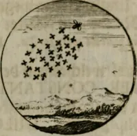 An illustration from Devises et emblemes anciennes & modernes, tirées des plus celebres auteurs, oder, Emblematische Gemüths-Vergnügung : bey Betrachtung siben hundert und funffzehen der curieusesten und ergötzlichen Sinn-Bildern, mit ihren zuständigen teutsch-lateinisch-französisch- und italianischen Beyschrifften (1695)