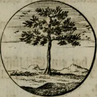 An illustration from Devises et emblemes anciennes & modernes, tirées des plus celebres auteurs, oder, Emblematische Gemüths-Vergnügung : bey Betrachtung siben hundert und funffzehen der curieusesten und ergötzlichen Sinn-Bildern, mit ihren zuständigen teutsch-lateinisch-französisch- und italianischen Beyschrifften (1695)