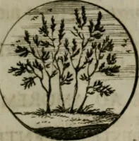 An illustration from Devises et emblemes anciennes & modernes, tirées des plus celebres auteurs, oder, Emblematische Gemüths-Vergnügung : bey Betrachtung siben hundert und funffzehen der curieusesten und ergötzlichen Sinn-Bildern, mit ihren zuständigen teutsch-lateinisch-französisch- und italianischen Beyschrifften (1695)