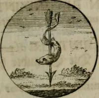 An illustration from Devises et emblemes anciennes & modernes, tirées des plus celebres auteurs, oder, Emblematische Gemüths-Vergnügung : bey Betrachtung siben hundert und funffzehen der curieusesten und ergötzlichen Sinn-Bildern, mit ihren zuständigen teutsch-lateinisch-französisch- und italianischen Beyschrifften (1695)