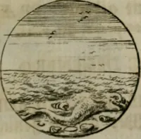 An illustration from Devises et emblemes anciennes & modernes, tirées des plus celebres auteurs, oder, Emblematische Gemüths-Vergnügung : bey Betrachtung siben hundert und funffzehen der curieusesten und ergötzlichen Sinn-Bildern, mit ihren zuständigen teutsch-lateinisch-französisch- und italianischen Beyschrifften (1695)