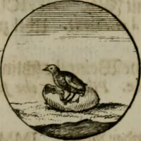 An illustration from Devises et emblemes anciennes & modernes, tirées des plus celebres auteurs, oder, Emblematische Gemüths-Vergnügung : bey Betrachtung siben hundert und funffzehen der curieusesten und ergötzlichen Sinn-Bildern, mit ihren zuständigen teutsch-lateinisch-französisch- und italianischen Beyschrifften (1695)