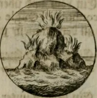 An illustration from Devises et emblemes anciennes & modernes, tirées des plus celebres auteurs, oder, Emblematische Gemüths-Vergnügung : bey Betrachtung siben hundert und funffzehen der curieusesten und ergötzlichen Sinn-Bildern, mit ihren zuständigen teutsch-lateinisch-französisch- und italianischen Beyschrifften (1695)