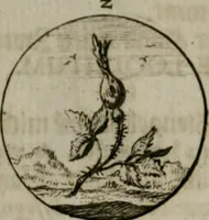 An illustration from Devises et emblemes anciennes & modernes, tirées des plus celebres auteurs, oder, Emblematische Gemüths-Vergnügung : bey Betrachtung siben hundert und funffzehen der curieusesten und ergötzlichen Sinn-Bildern, mit ihren zuständigen teutsch-lateinisch-französisch- und italianischen Beyschrifften (1695)