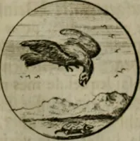 An illustration from Devises et emblemes anciennes & modernes, tirées des plus celebres auteurs, oder, Emblematische Gemüths-Vergnügung : bey Betrachtung siben hundert und funffzehen der curieusesten und ergötzlichen Sinn-Bildern, mit ihren zuständigen teutsch-lateinisch-französisch- und italianischen Beyschrifften (1695)