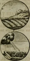 An illustration from Devises et emblemes anciennes & modernes, tirées des plus celebres auteurs, oder, Emblematische Gemüths-Vergnügung : bey Betrachtung siben hundert und funffzehen der curieusesten und ergötzlichen Sinn-Bildern, mit ihren zuständigen teutsch-lateinisch-französisch- und italianischen Beyschrifften (1695)