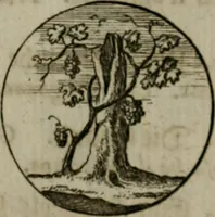 An illustration from Devises et emblemes anciennes & modernes, tirées des plus celebres auteurs, oder, Emblematische Gemüths-Vergnügung : bey Betrachtung siben hundert und funffzehen der curieusesten und ergötzlichen Sinn-Bildern, mit ihren zuständigen teutsch-lateinisch-französisch- und italianischen Beyschrifften (1695)