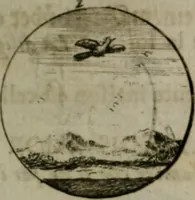 An illustration from Devises et emblemes anciennes & modernes, tirées des plus celebres auteurs, oder, Emblematische Gemüths-Vergnügung : bey Betrachtung siben hundert und funffzehen der curieusesten und ergötzlichen Sinn-Bildern, mit ihren zuständigen teutsch-lateinisch-französisch- und italianischen Beyschrifften (1695)