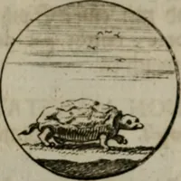 An illustration from Devises et emblemes anciennes & modernes, tirées des plus celebres auteurs, oder, Emblematische Gemüths-Vergnügung : bey Betrachtung siben hundert und funffzehen der curieusesten und ergötzlichen Sinn-Bildern, mit ihren zuständigen teutsch-lateinisch-französisch- und italianischen Beyschrifften (1695)