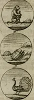 An illustration from Devises et emblemes anciennes & modernes, tirées des plus celebres auteurs, oder, Emblematische Gemüths-Vergnügung : bey Betrachtung siben hundert und funffzehen der curieusesten und ergötzlichen Sinn-Bildern, mit ihren zuständigen teutsch-lateinisch-französisch- und italianischen Beyschrifften (1695)