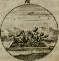 An illustration from Devises et emblemes anciennes & modernes, tirées des plus celebres auteurs, oder, Emblematische Gemüths-Vergnügung : bey Betrachtung siben hundert und funffzehen der curieusesten und ergötzlichen Sinn-Bildern, mit ihren zuständigen teutsch-lateinisch-französisch- und italianischen Beyschrifften (1695)