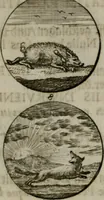 An illustration from Devises et emblemes anciennes & modernes, tirées des plus celebres auteurs, oder, Emblematische Gemüths-Vergnügung : bey Betrachtung siben hundert und funffzehen der curieusesten und ergötzlichen Sinn-Bildern, mit ihren zuständigen teutsch-lateinisch-französisch- und italianischen Beyschrifften (1695)