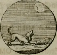 An illustration from Devises et emblemes anciennes & modernes, tirées des plus celebres auteurs, oder, Emblematische Gemüths-Vergnügung : bey Betrachtung siben hundert und funffzehen der curieusesten und ergötzlichen Sinn-Bildern, mit ihren zuständigen teutsch-lateinisch-französisch- und italianischen Beyschrifften (1695)