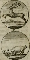 An illustration from Devises et emblemes anciennes & modernes, tirées des plus celebres auteurs, oder, Emblematische Gemüths-Vergnügung : bey Betrachtung siben hundert und funffzehen der curieusesten und ergötzlichen Sinn-Bildern, mit ihren zuständigen teutsch-lateinisch-französisch- und italianischen Beyschrifften (1695)