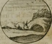 An illustration from Devises et emblemes anciennes & modernes, tirées des plus celebres auteurs, oder, Emblematische Gemüths-Vergnügung : bey Betrachtung siben hundert und funffzehen der curieusesten und ergötzlichen Sinn-Bildern, mit ihren zuständigen teutsch-lateinisch-französisch- und italianischen Beyschrifften (1695)