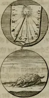 An illustration from Devises et emblemes anciennes & modernes, tirées des plus celebres auteurs, oder, Emblematische Gemüths-Vergnügung : bey Betrachtung siben hundert und funffzehen der curieusesten und ergötzlichen Sinn-Bildern, mit ihren zuständigen teutsch-lateinisch-französisch- und italianischen Beyschrifften (1695)
