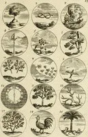 Picture 17 of 53 from Devises et emblemes anciennes et modernes, tirées des plus celebres auteurs : avec plusieurs autres nouvellem[en]t inventées et mises en latin, en francois, en espagnol, en italien, en anglois, en flamand et en allemand (1712), leaf 34