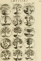 Picture 31 of 53 from Devises et emblemes anciennes et modernes, tirées des plus celebres auteurs : avec plusieurs autres nouvellem[en]t inventées et mises en latin, en francois, en espagnol, en italien, en anglois, en flamand et en allemand (1712), leaf 62
