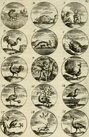 Picture 43 of 53 from Devises et emblemes anciennes et modernes, tirées des plus celebres auteurs : avec plusieurs autres nouvellem[en]t inventées et mises en latin, en francois, en espagnol, en italien, en anglois, en flamand et en allemand (1712), leaf 86