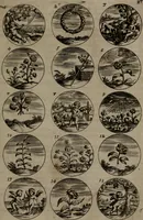 An illustration from Devises et emblemes, anciennes et modernes : tirées des plus celebres auteurs, avec plusieurs autres nouvellemt, inventées et mises, en latin, en françois, en espagnol, en italien, en anglois, en flamand et en allemand (1693)