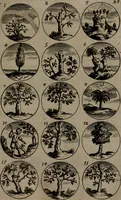 An illustration from Devises et emblemes, anciennes et modernes : tirées des plus celebres auteurs, avec plusieurs autres nouvellemt, inventées et mises, en latin, en françois, en espagnol, en italien, en anglois, en flamand et en allemand (1693)