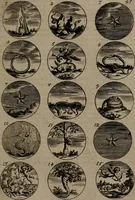 An illustration from Devises et emblemes, anciennes et modernes : tirées des plus celebres auteurs, avec plusieurs autres nouvellemt, inventées et mises, en latin, en françois, en espagnol, en italien, en anglois, en flamand et en allemand (1693)