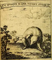 An illustration from Devises et emblesmes d'amour moralisez (1672)