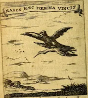 An illustration from Devises et emblesmes d'amour moralisez (1672)