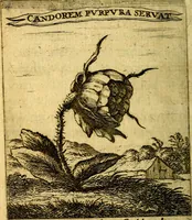 An illustration from Devises et emblesmes d'amour moralisez (1672)