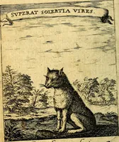 An illustration from Devises et emblesmes d'amour moralisez (1672)