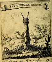 An illustration from Devises et emblesmes d'amour moralisez (1672)