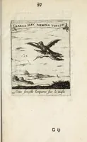 Picture 39 of 42 from Devises et emblesmes d'amour moralisez (1658), leaf 107