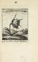 Picture 40 of 42 from Devises et emblesmes d'amour moralisez (1658), leaf 109