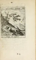 Picture 9 of 42 from Devises et emblesmes d'amour moralisez (1658), leaf 31