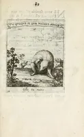 Picture 36 of 42 from Devises et emblesmes d'amour moralisez (1658), leaf 99