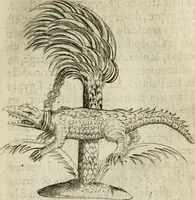 Picture 48 of 200 from Devises heroiques et emblemes (1622), leaf 102